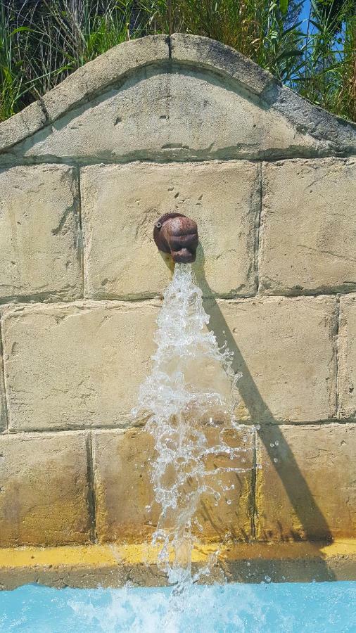 Appartamento Le Jas Des Parpaillous LʼIsle-sur-la-Sorgue Esterno foto